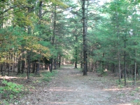 An Evening Hike at Letchworth